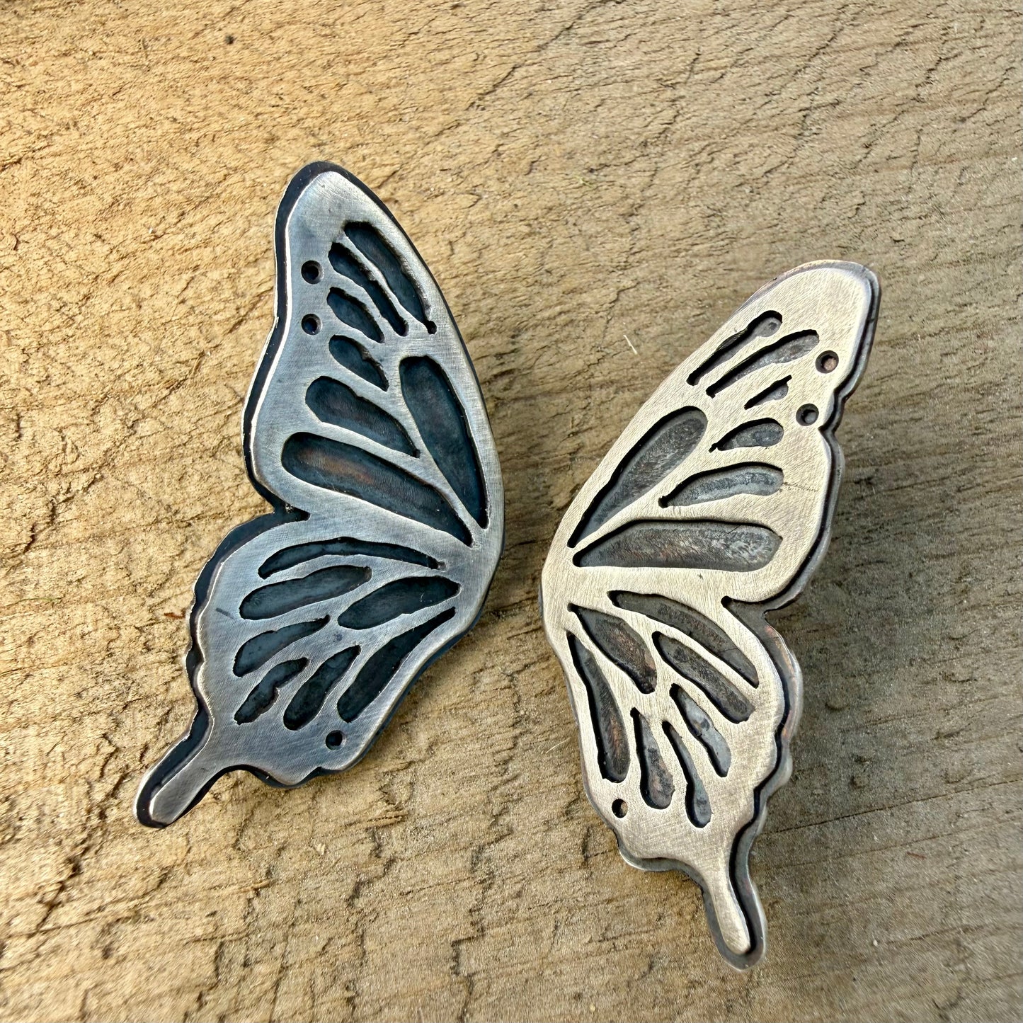 Swallowtail Wings