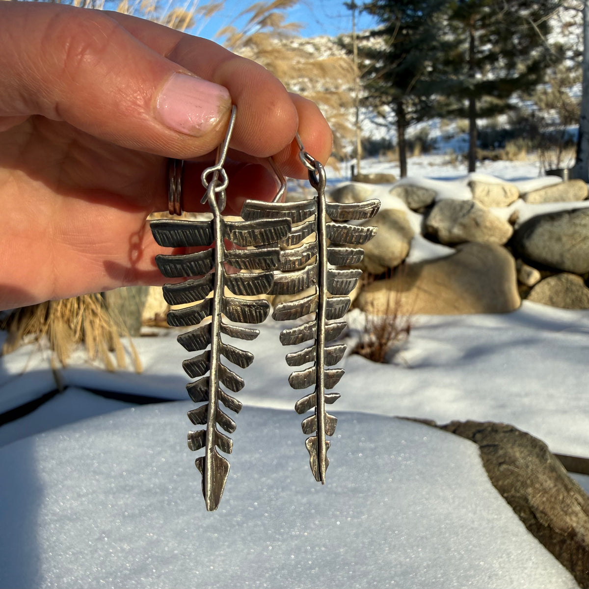 Fern Danglers