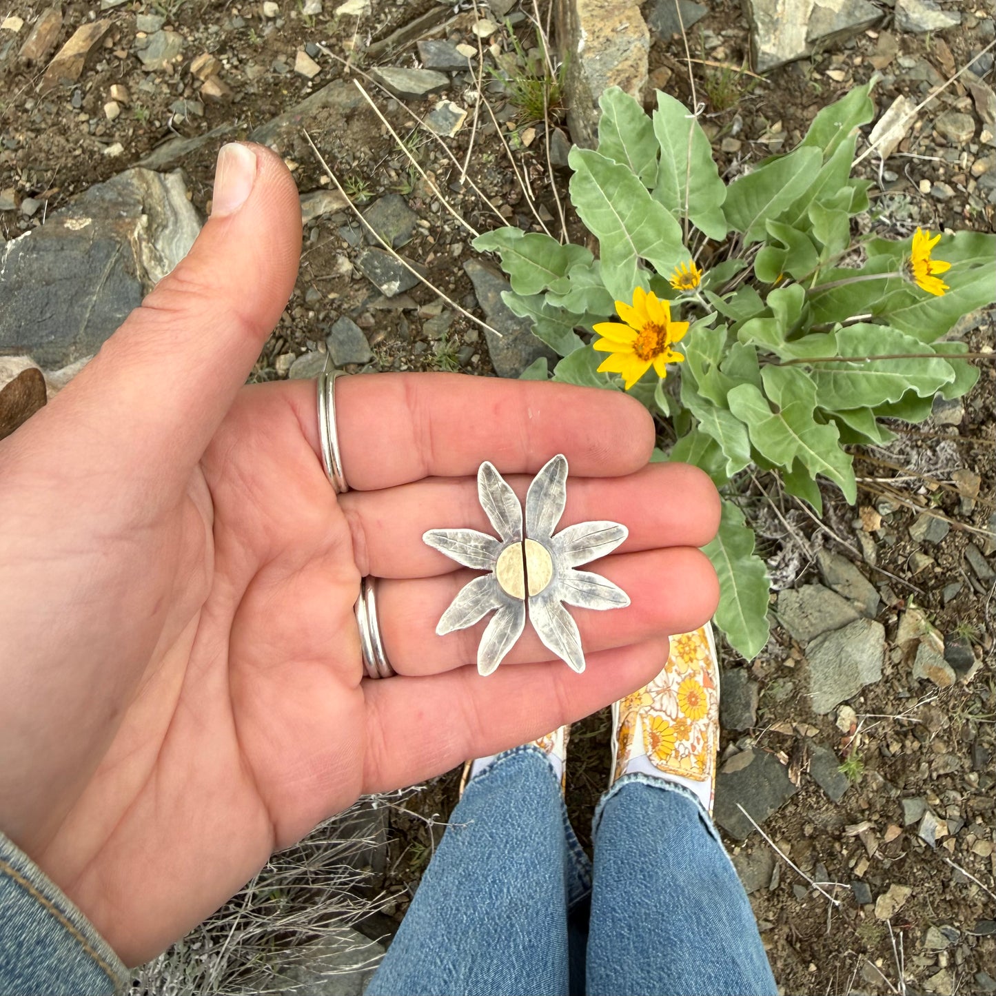 Wild Sunflowers