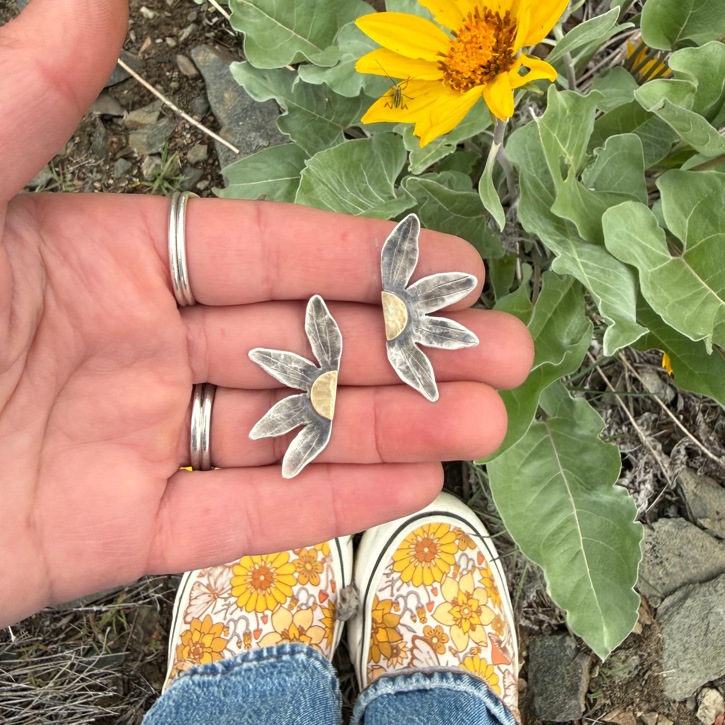 Wild Sunflowers